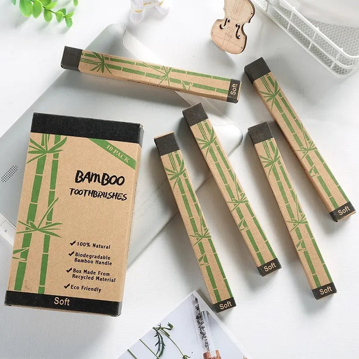 EcoBrush Family Pack x 10