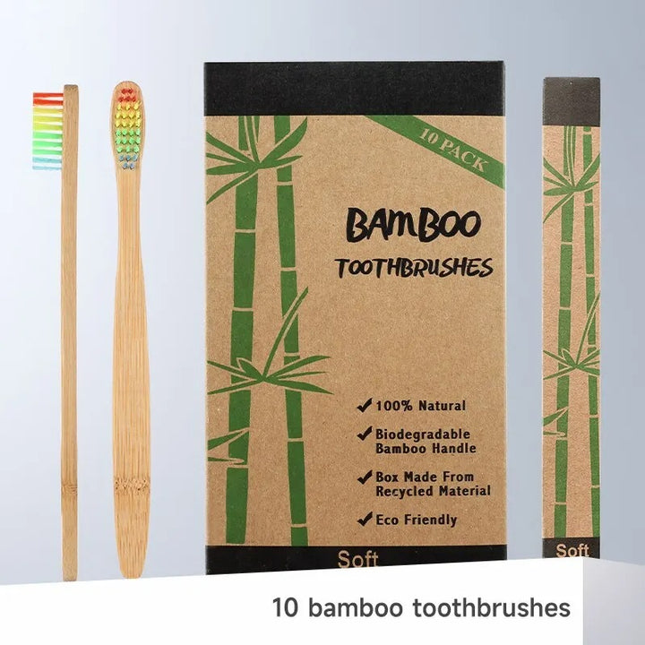 EcoBrush Family Pack x 10
