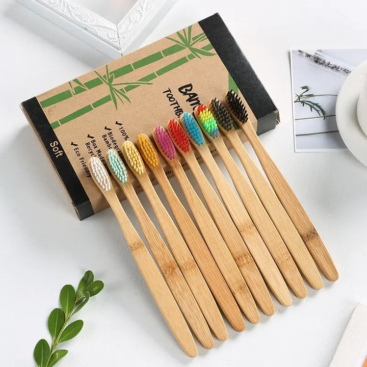 EcoBrush Family Pack x 10