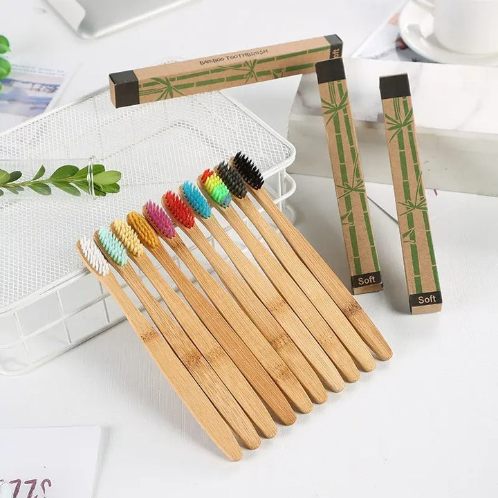 EcoBrush Family Pack x 10