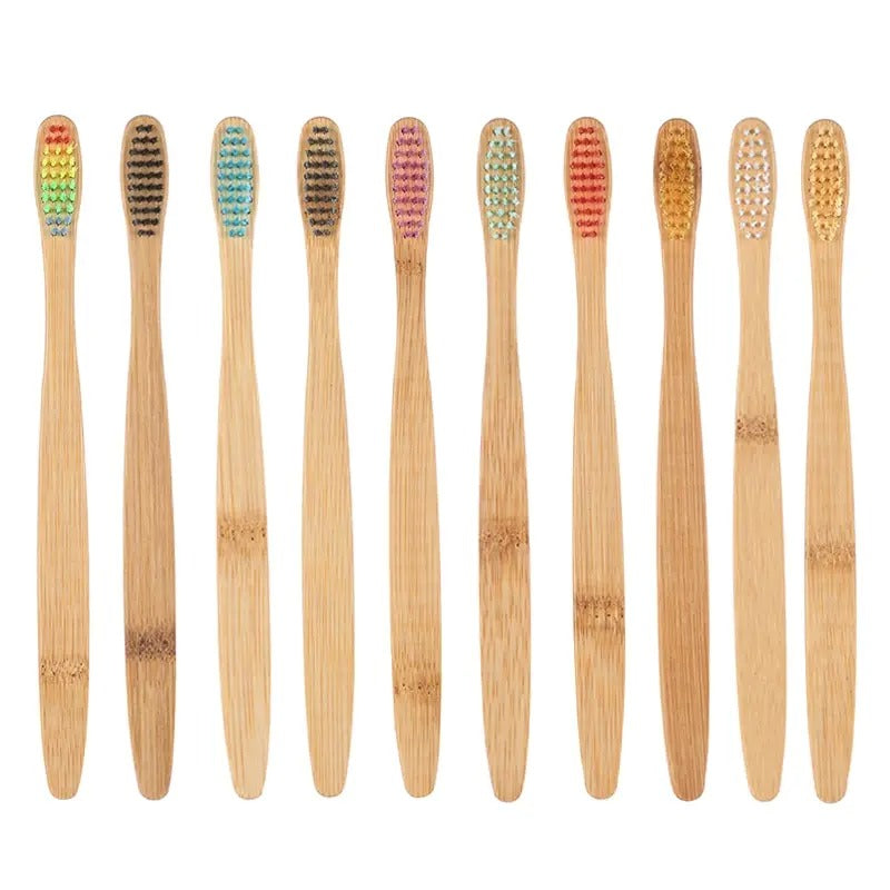 EcoBrush Family Pack x 10